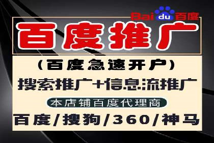 探究某某SEM公司如何通过精准投放实现销售增长